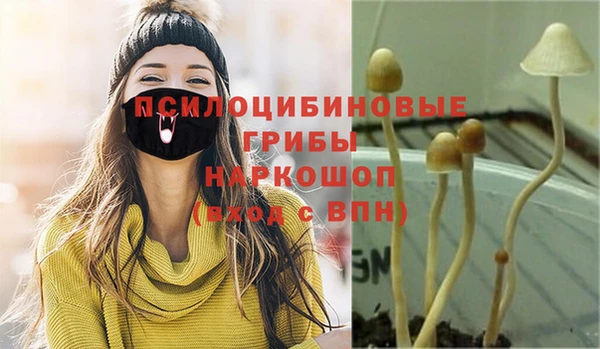 каннабис Балахна